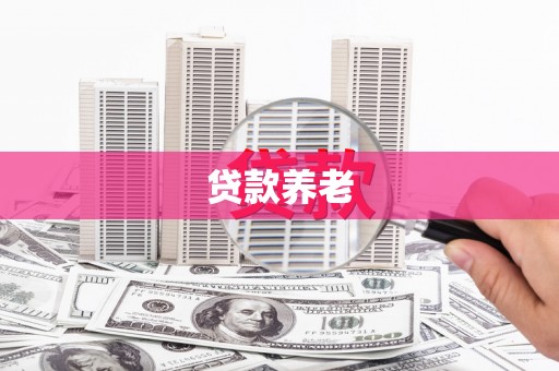 田林贷款养老