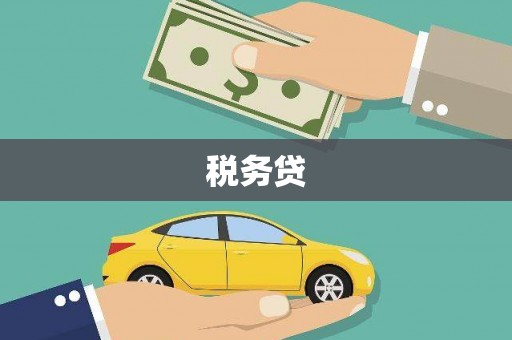 田林税务贷