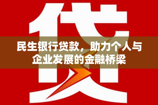 田林民生银行贷款，助力个人与企业发展的金融桥梁
