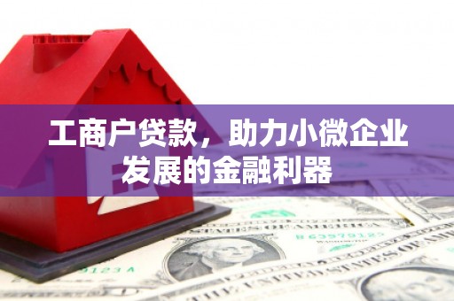 田林工商户贷款，助力小微企业发展的金融利器