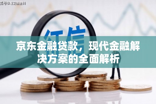 田林京东金融贷款，现代金融解决方案的全面解析