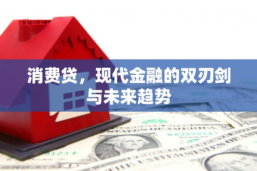 田林消费贷，现代金融的双刃剑与未来趋势