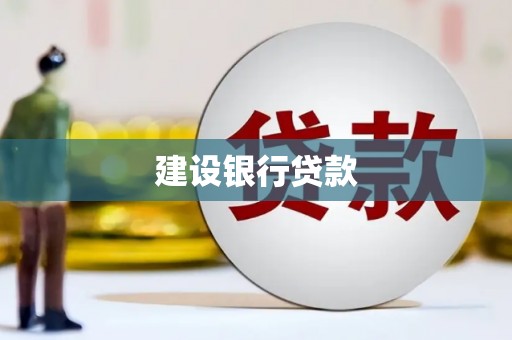 田林建设银行贷款
