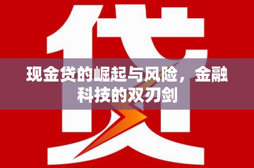 田林现金贷的崛起与风险，金融科技的双刃剑