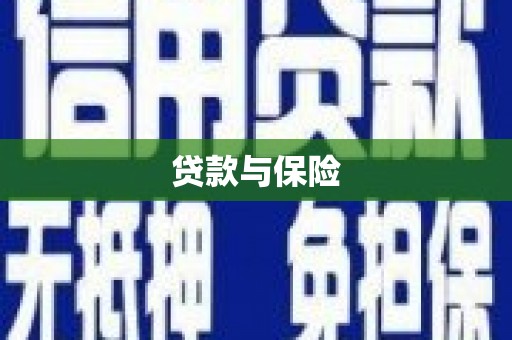 田林贷款与保险