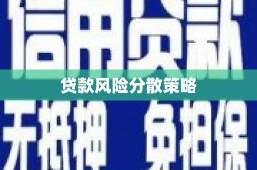 田林贷款风险分散策略