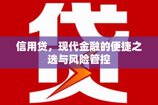 田林信用贷，现代金融的便捷之选与风险管控