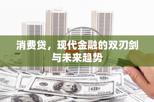 田林消费贷，现代金融的双刃剑与未来趋势