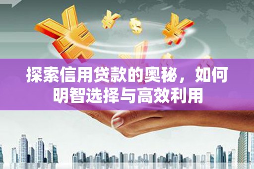 田林探索信用贷款的奥秘，如何明智选择与高效利用