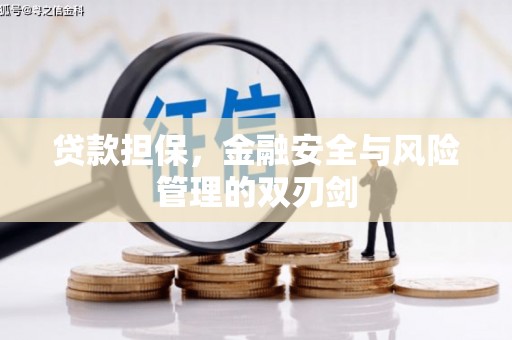 田林贷款担保，金融安全与风险管理的双刃剑