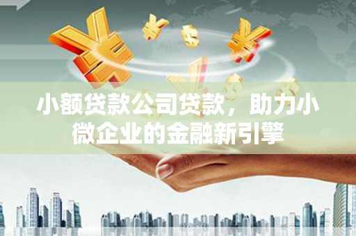 田林小额贷款公司贷款，助力小微企业的金融新引擎