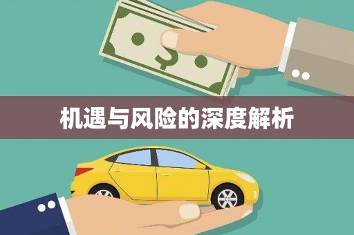 田林机遇与风险的深度解析