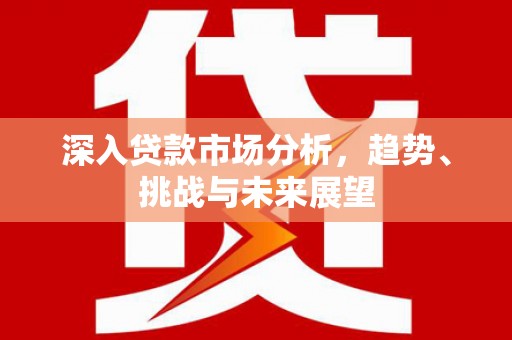 田林深入贷款市场分析，趋势、挑战与未来展望