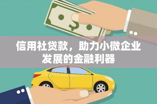 田林信用社贷款，助力小微企业发展的金融利器