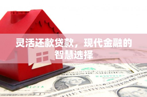 田林灵活还款贷款，现代金融的智慧选择