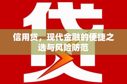 田林信用贷，现代金融的便捷之选与风险防范