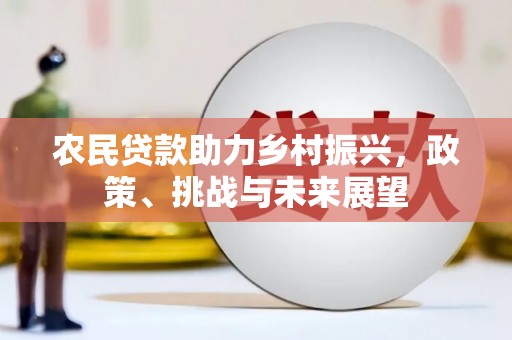 田林农民贷款助力乡村振兴，政策、挑战与未来展望