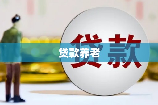 田林贷款养老