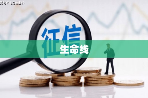 田林生命线
