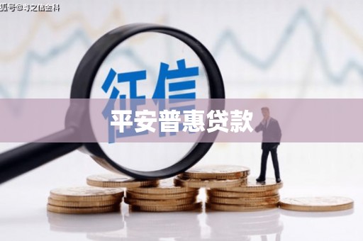 田林平安普惠贷款