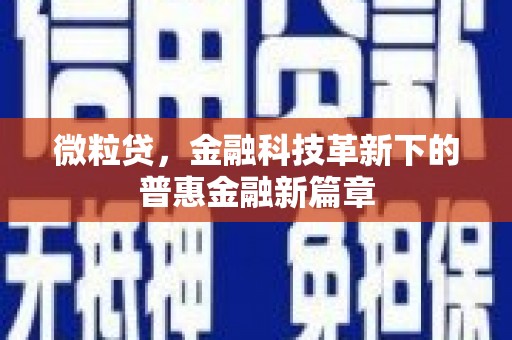 田林微粒贷，金融科技革新下的普惠金融新篇章