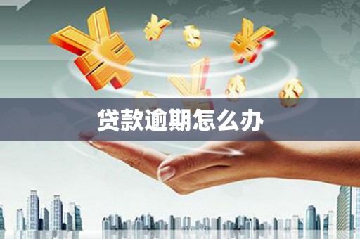 田林贷款逾期怎么办