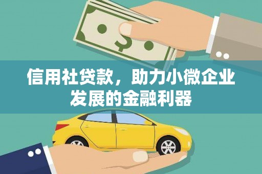 田林信用社贷款，助力小微企业发展的金融利器