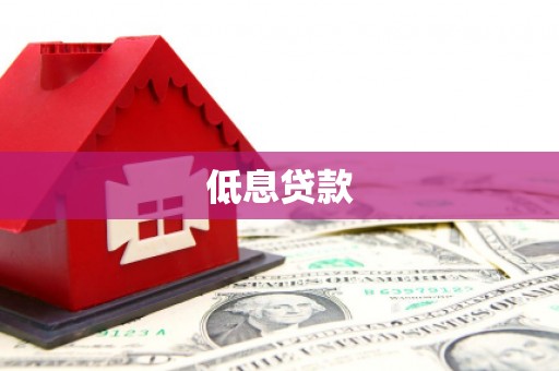 田林低息贷款