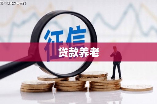 田林贷款养老