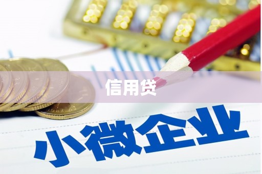 田林信用贷