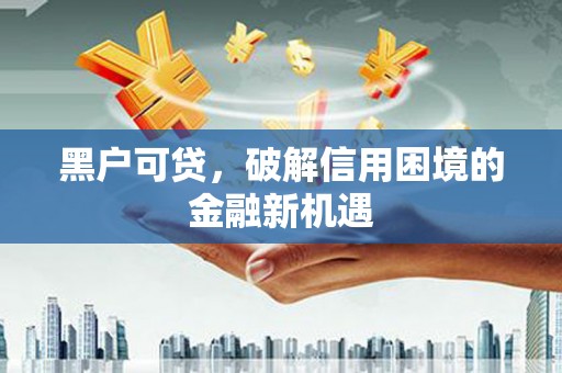 田林黑户可贷，破解信用困境的金融新机遇