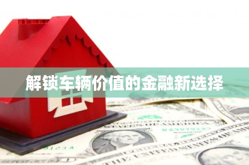 田林解锁车辆价值的金融新选择