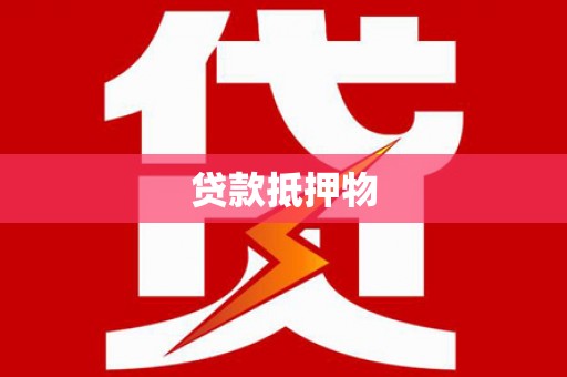 田林贷款抵押物