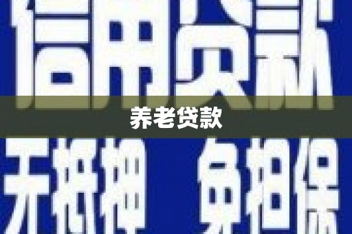 田林养老贷款
