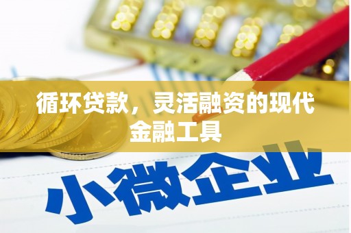 田林循环贷款，灵活融资的现代金融工具