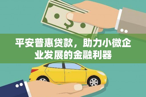 田林平安普惠贷款，助力小微企业发展的金融利器