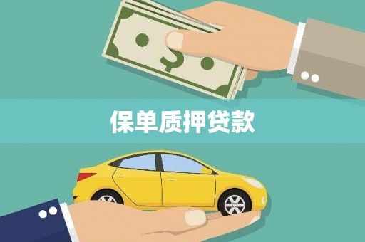 田林保单质押贷款