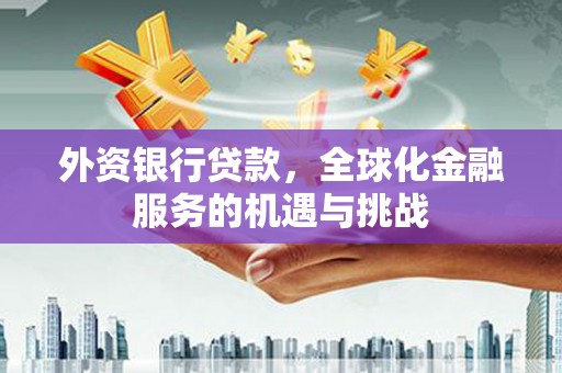 田林外资银行贷款，全球化金融服务的机遇与挑战