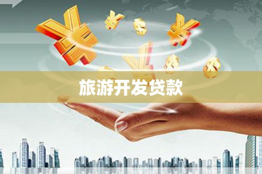 田林旅游开发贷款