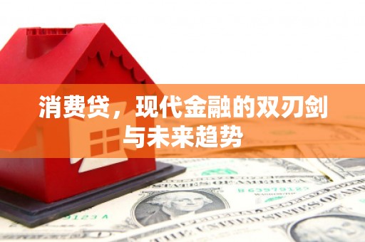 田林消费贷，现代金融的双刃剑与未来趋势