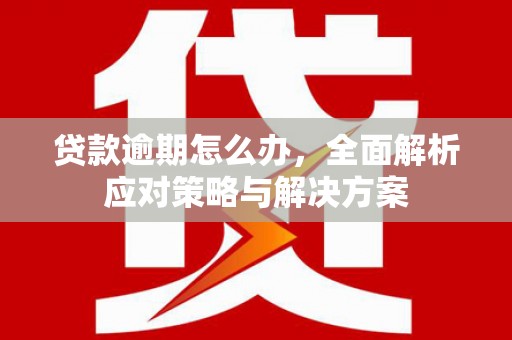 田林贷款逾期怎么办，全面解析应对策略与解决方案