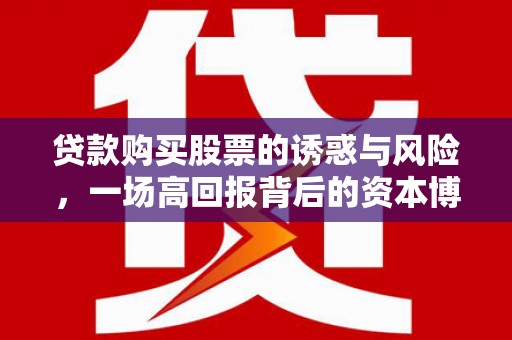 田林贷款购买股票的诱惑与风险，一场高回报背后的资本博弈