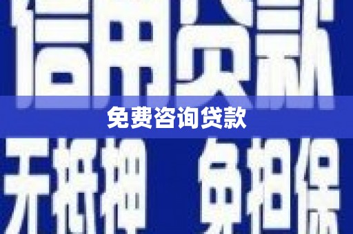 田林免费咨询贷款