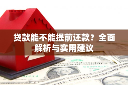 田林贷款能不能提前还款？全面解析与实用建议