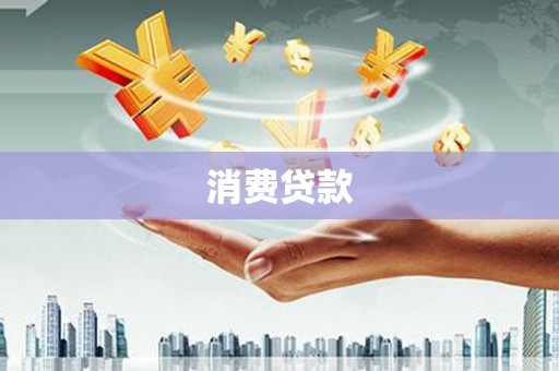 田林消费贷款