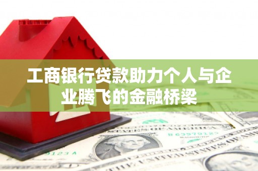 田林工商银行贷款助力个人与企业腾飞的金融桥梁