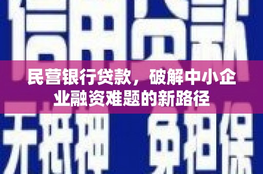 田林民营银行贷款，破解中小企业融资难题的新路径