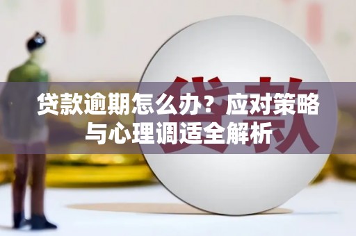 田林贷款逾期怎么办？应对策略与心理调适全解析