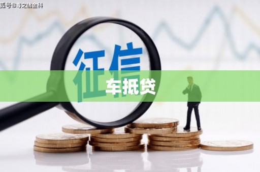 田林车抵贷