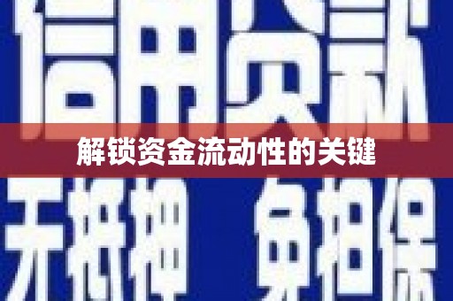 田林解锁资金流动性的关键